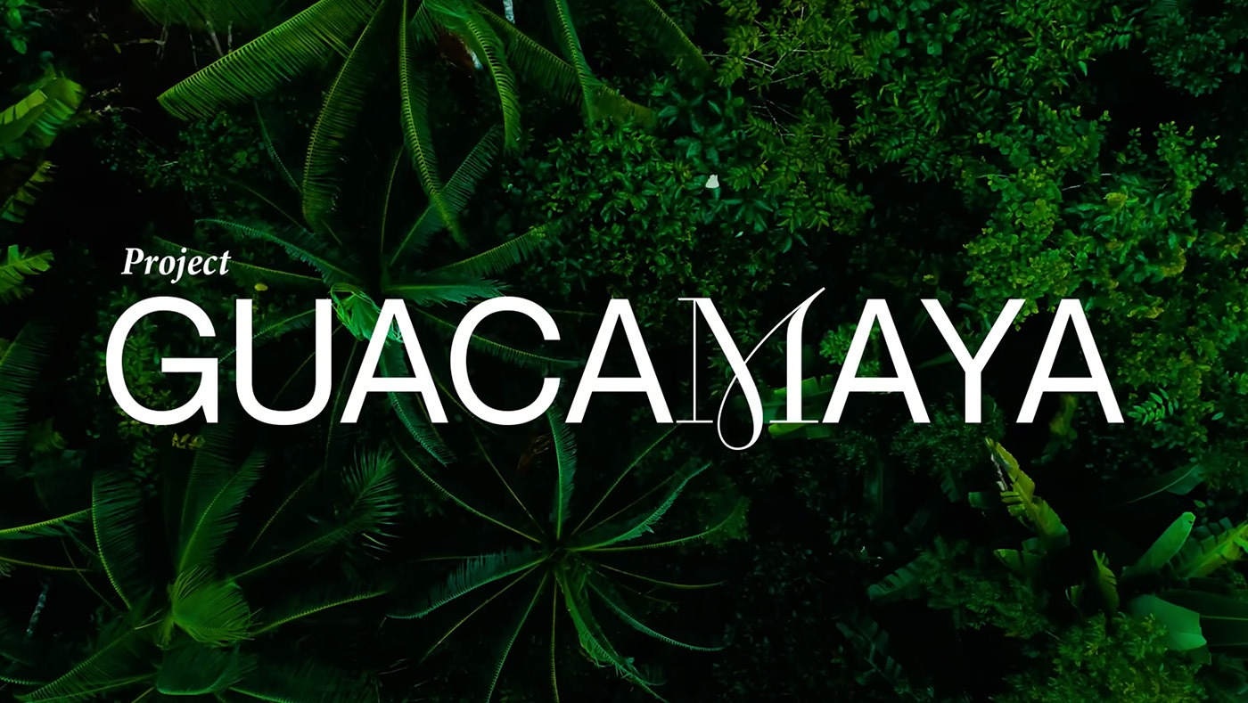 Amazon rainforest with words